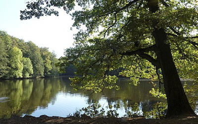 Ansicht außen natur
